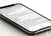 苹果5s拍照如何设置满屏显示？