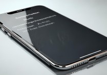 苹果xsmax 真假怎么看