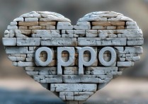 心墙 oppo 是什么意思？
