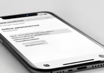 苹果手机怎么在线评估