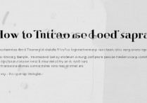 vivox70pro开发者模式怎么设置？开启方法详解来了