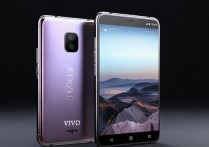 vivo双面屏手机