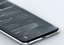 vivo手机如何设置拒接来电？步骤详细说明。