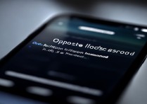 oppo忘了锁屏密码