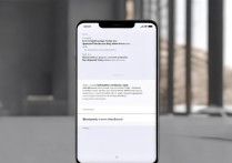 vivo怎么进入测试模式