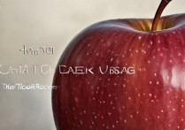 苹果怎么看流量使用？苹果手机流量使用详情查询方法