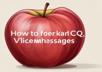 苹果手机为什么听不到QQ语音消息？怎么解决？