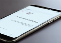 华为FIG-TL10返回键没了，怎么调出来？