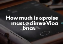 vivo最贵的手机多少钱