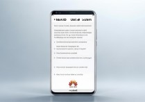华为手机怎么更新系统？新手操作指南与常见问题解答