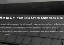 苹果突然黑屏了怎么办？是什么原因导致的？