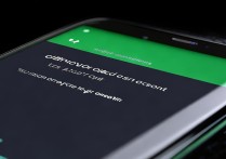 oppo手机的oppo账号怎么看