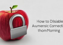 苹果怎么禁止早上自动连网，苹果手机如何设置定时关闭 Wi-Fi