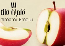 苹果怎么打符号表情？iPhone输入法特殊符号在哪里找