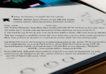 三星S4打开游戏黑屏怎么办？