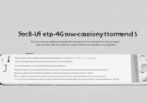 vivox5如何开启或设置4G网络？