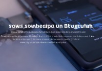 vivox30蓝牙怎么弄