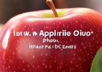 苹果照片怎么把静态照转成live效果？