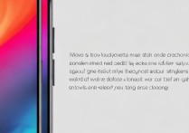 vivox5max颜色怎么反转？设置里能调吗？