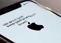 iPhone屏幕出现黑斑怎么办