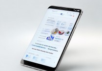 OPPO Reno11录屏没声音？操作步骤详解来了！