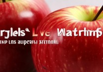 苹果live壁纸不动？设置里哪步没做好？