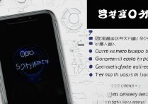 oppo手机老是闪退怎么办？常见原因及解决方法