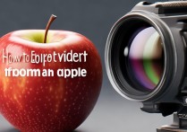 苹果录的视频怎么导出来的