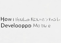 iqoo8在哪打开开发者模式？开启步骤一览