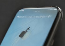 苹果6手机被锁定，怎么解除啊？求方法！