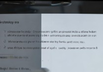 vivo手机怎么关闭动画效果？设置里找不到关闭选项怎么办？