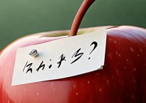 苹果关机关不上怎么回事