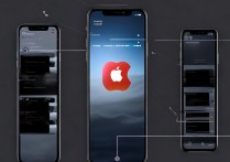 苹果来电动态壁纸怎么设置方法？如何设置苹果来电动态壁纸