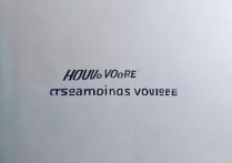 三星s voice怎么读？语音助手正确发音方法是什么？