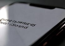 苹果手机突然没声音怎么回事