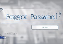 忘记密码怎么解开vivoy66