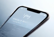 vivoy怎么调音效