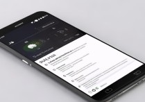 华为荣耀3C如何开启直连3G网络？