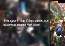 vivo玩王者不卡？哪些设置能让帧率稳如狗？