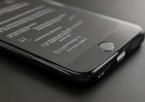 苹果6黑色按键怎么没有金属圈？iPhone6home键掉漆正常吗