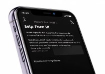苹果11id怎么设置面容