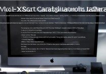 vivox1st卡刷教程步骤详细吗？新手必看刷机指南。