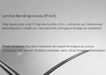 华为y511t00如何进入recovery模式？详细步骤教程