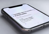 苹果手机怎么设置个性主题？苹果手机主题更换教程