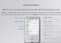 三星W999刷机教程