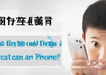 苹果微信语音说话没声音怎么回事啊，微信语音没声音怎么解决？