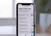 手机上怎么苹果退款流程