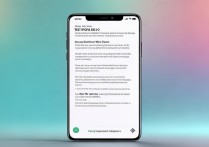 oppo手机安全性功能怎么彻底关闭？