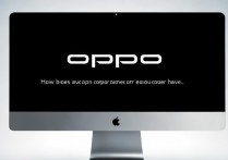 oppo计算机怎么没有？是没做还是被忽略了？