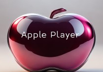 apple 播放器